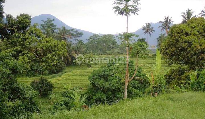 PASTI DEAL DI JUAL TANAH VIEW SAWAH & SUNGAI LOKASI PENEBEL TABANAN  1