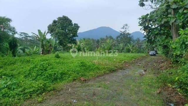 PASTI DEAL DI JUAL TANAH VIEW SAWAH & SUNGAI LOKASI PENEBEL TABANAN  2