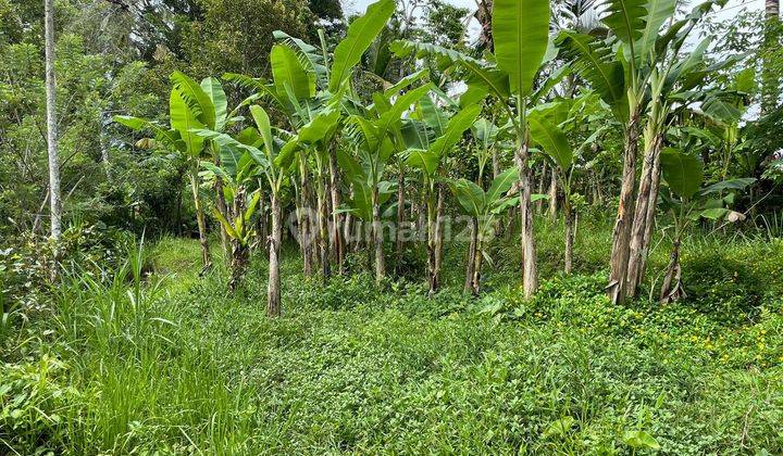 PASTI DEAL DI JUAL TANAH LOKASI TARO TEGALLALANG UBUD GIANYAR 
 1