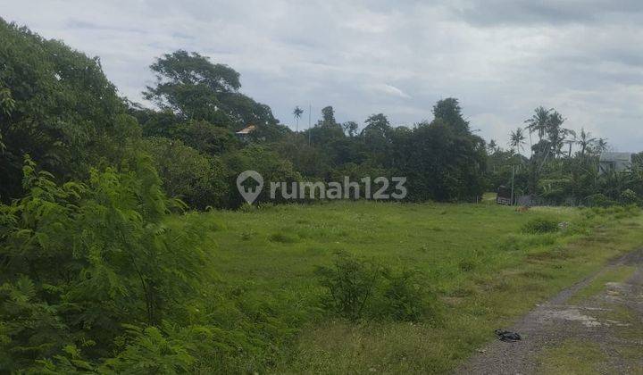 DEFINITELY A DEAL ON SALE OF LAND LOCATION KETEWEL GIANYAR  2