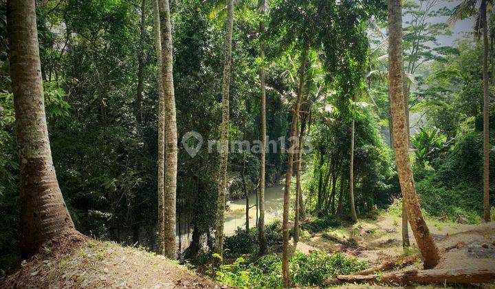 DEAL DEAL IN LOSS SUNGAI BANTAS LAND FOR SALE LOCATION MUNGGU MENGWI BADUNG 1