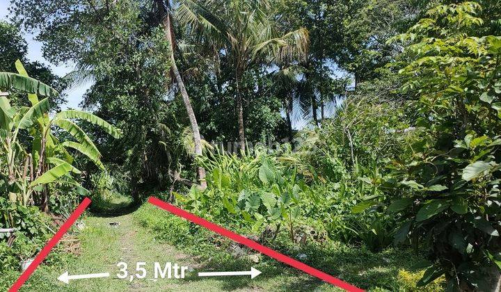 SURE DEAL FOR SALE LAND LOSS SUNGAI VIEW SAWAH LOCATION BERABAN KEDIRI TABANAN  2