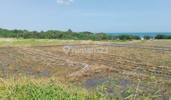 SURE DEAL FOR SALE SEA VIEW LAND LOCATION KELATING KERAMBITAN TABANAN 2