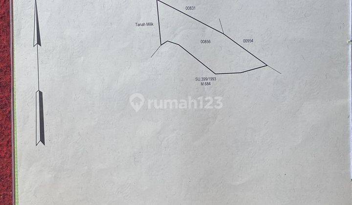 PASTI DEAL DI JUAL TANAH VIEW SAWAH & HUTAN LOKASI KELUSA PAYANGAN UBUD GIANYAR 2