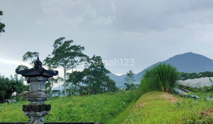 PASTI DEAL DI JUAL TANAH LOKASI BATURITI TABANAN  1