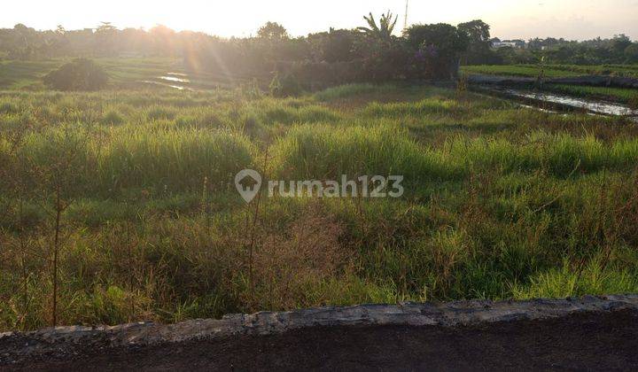 DEFINITELY A DEAL FOR SALE LAND WITH RICE VIEW LOCATION MUNGGU MEMBWI BADUNG 
 1