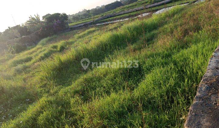 DEFINITELY A DEAL FOR SALE LAND WITH RICE VIEW LOCATION MUNGGU MEMBWI BADUNG 
 2