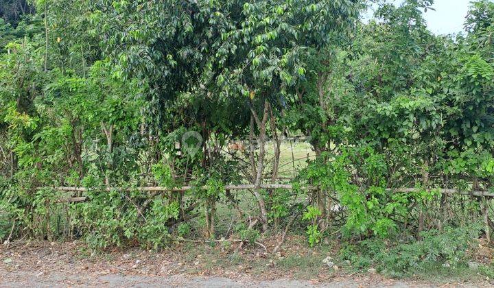 DEFINITE DEAL ON LAND FOR SALE LOCATION ULUWATU UNGANSAN KUTA SELATAN BADUNG 1