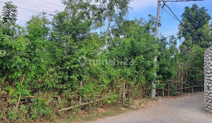 DEFINITE DEAL ON LAND FOR SALE LOCATION ULUWATU UNGANSAN KUTA SELATAN BADUNG 2