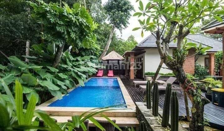 DEFINITELY A DEAL FOR SALE RIVER VIEW VILLA LOCATION PANDAK GEDE KEDIRI TABANAN
 2