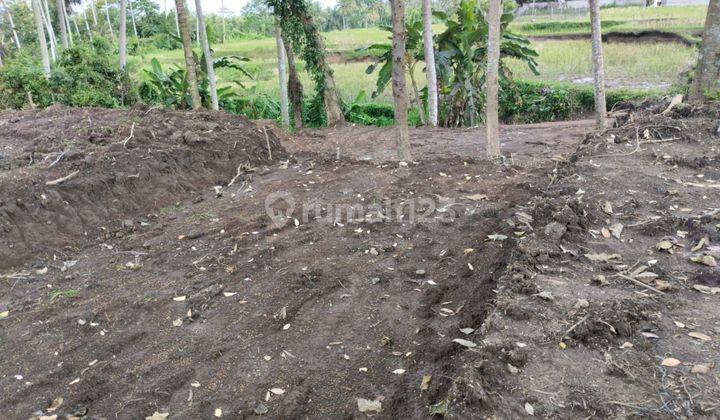 PASTI DEAL DI SEWAKAN TANAH VIEW SAWAH LOKASI PEJENG UBUD GIANYAR
 2