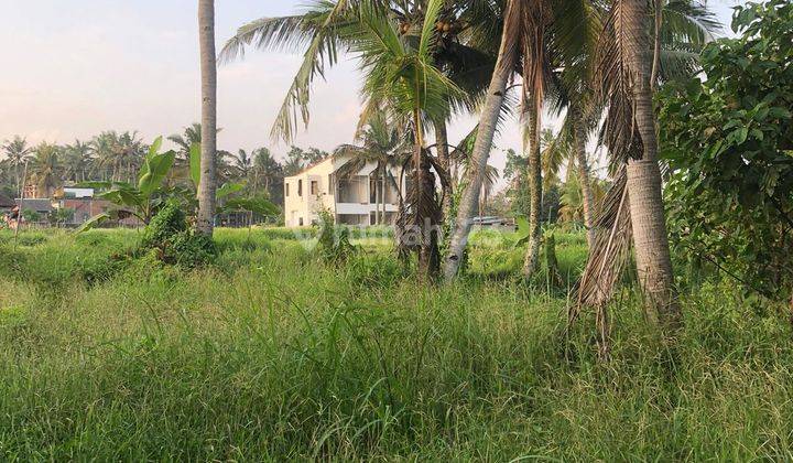 PASTI DEAL DI JUAL TANAH VIEW SAWAH LOKASI PEJENG KAWAN UBUD GIANYAR 
 1