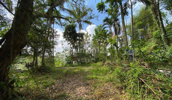 PASTI DEAL DI JUAL TANAH LOSS SUNGAI WOS VIEW HUTAN PINGGIR JALAN LOKASI KELIKI TEGALLALANG UBUD GIANYAR  1