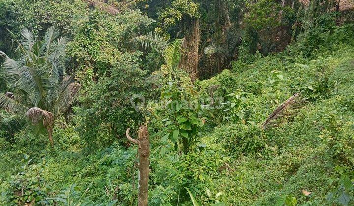 PASTI DEAL DI JUAL TANAH LOKASI KELIKI KAWAN PAYANGAN UBUD GIANYAR 
 1