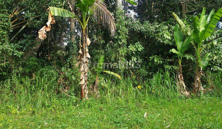 PASTI DEAL DI JUAL TANAH VIEW LEMBAH & SAWAH LOKASI KELIKI TEGALLALANG UBUD GIANYAR 1