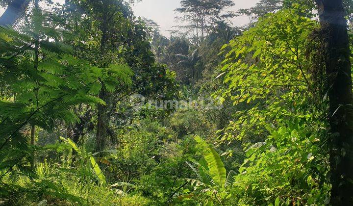 PASTI DEAL DI JUAL TANAH VIEW LEMBAH & SAWAH LOKASI KELIKI TEGALLALANG UBUD GIANYAR 2