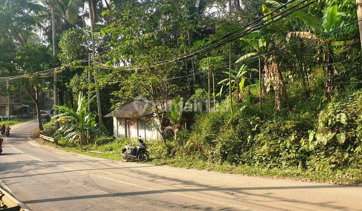 PASTI DEAL DI JUAL TANAH LOSS SUNGAI BLALU PINGGIR JALAN LOKASI RAYA PANDAWA TEGALLALANG UBUD GIANYAR 
 1