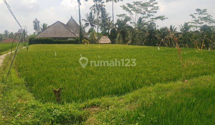 PASTI DEAL DI JUAL TANAH LOSS SUNGAI BLALU PINGGIR JALAN LOKASI RAYA PANDAWA TEGALLALANG UBUD GIANYAR 
 2