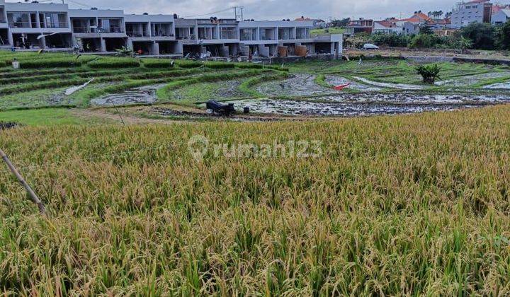 PASTI DEAL DI JUAL TANAH LOKASI CANGGU KUTA UTARA BADUNG 
 2