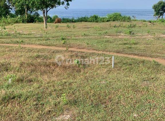 DEFINITELY A DEAL FOR LAND FOR SALE IN THE NUSA LEMBONGAN KLUNGKUNG LOCATION 
 1