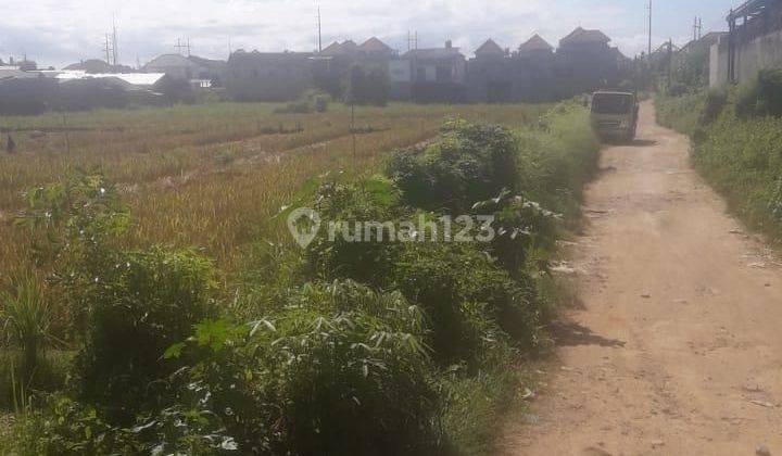 DEFINITELY A DEAL FOR LAND RENT IN THE SANUR SOUTH DENPASAR LOCATION 2