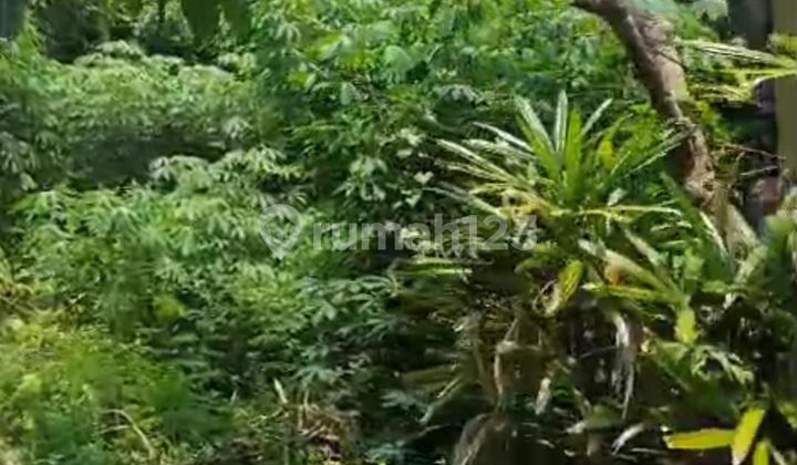 PASTI DEAL DI JUAL TANAH LOKASI MERTASARI SANUR DENPASAR SELATAN