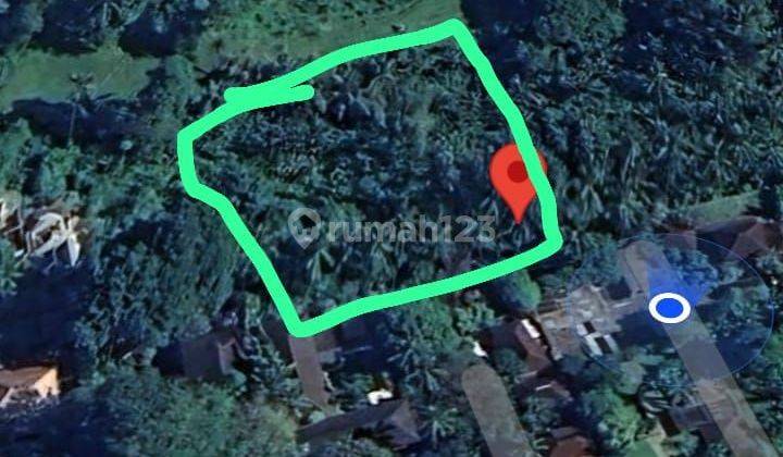 PASTI DEAL DI JUAL TANAH VIEW SUNGAI AYUNG LOKASI SAYAN UBUD GIANYAR 
 2