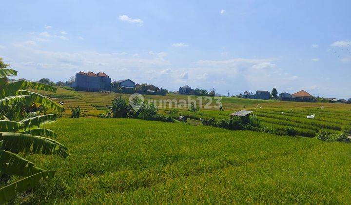 PASTI DEAL DI JUAL TANAH VIEW SAWAH LOKASI TUMBAK BAYUH CANGGU KUTA UTARA BADUNG 
 2