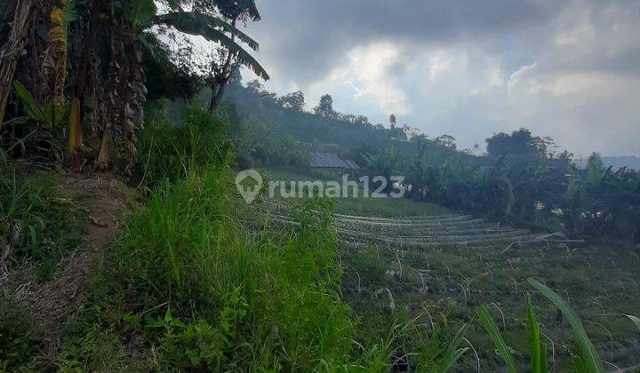 PASTI DEAL DI JUAL TANAH VIEW DANAU BUYAN LOKASI PANCASARI BEDUGUL SUKASADA BULELENG 2