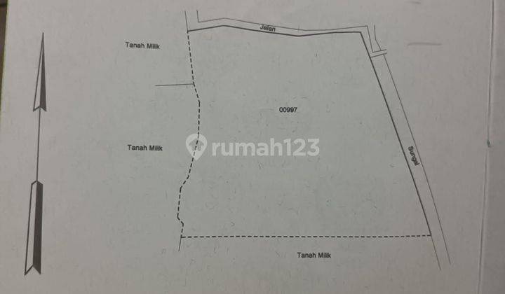 PASTI DEAL DI JUAL TANAH VIEW HUTAN LOKASI KENDERAN TEGALLALANG UBUD GIANYAR 
 2