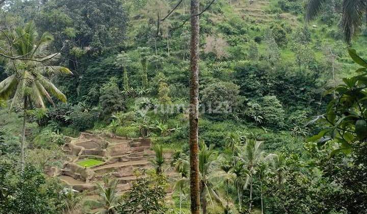 PASTI DEAL DI JUAL TANAH LOKASI TEGALLALANG UBUD GIANYAR  2