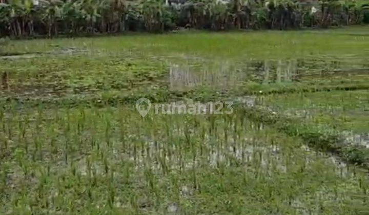 PASTI DEAL DI JUAL TANAH LOKASI DALUNG BADUNG  2