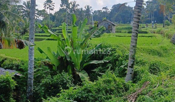 PASTI DEAL DI JUAL TANAH LOSS SUNGAI LOKASI KENDERAN TEGALLALANG UBUD GIANYAR 1