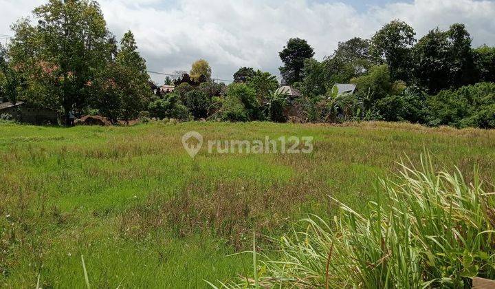 SO DEFINITELY LAND FOR SALE LOCATION MUNGGU MENGWI BADUNG 2