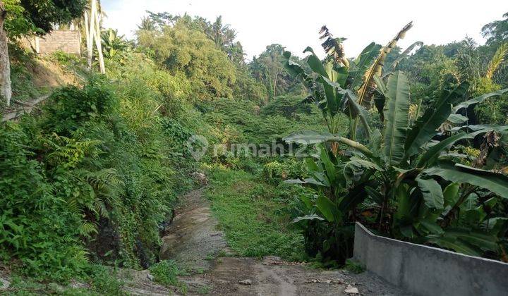 SURE DEAL FOR SALE LAND LOSS RIVER VIEW FOREST LOCATION DHARMA GIRI BITERA GIANYAR
 2