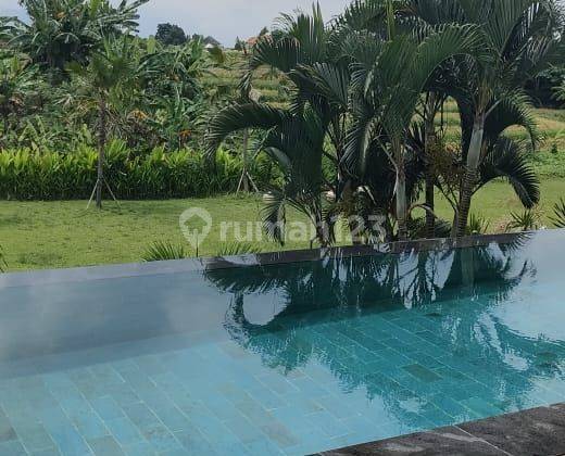 Susususuper Deal Di Jual Villa View Sawah Lokasi Canggu Kuta Utara Badung 1