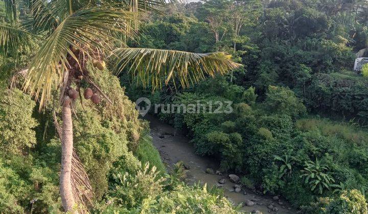 DEFINITELY DEAL FOR SALE LAND LOSS RIVER LOCATION LODTUNDUH UBUD GIANYAR  1