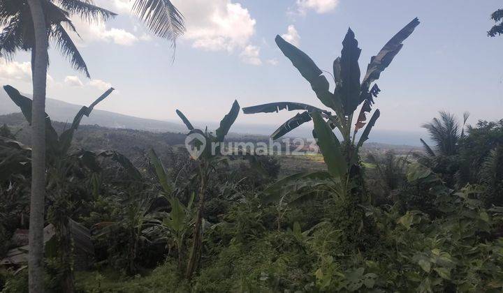 SURE DEAL FOR SALE SEA VIEW LAND LOCATION BUKIT GUMUNG TENGANAN MANGGIS KARANGASEM 1