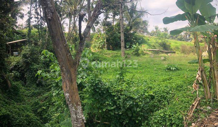 PASTI DEAL DI JUAL TANAH LOSS SUNGAI VIEW SAWAH LOKASI KENDERAN TEGALLALANG UBUD GIANYAR
 2