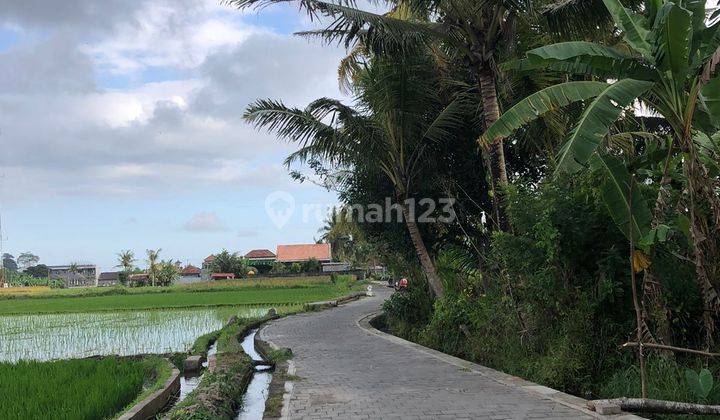 PASTI DEAL DI JUAL TANAH VIEW SAWAH  LOKASI SINGAPADU GIANYAR 2