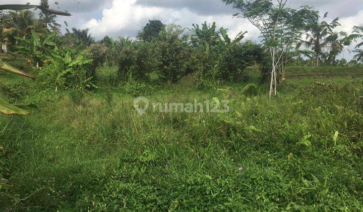 PASTI DEAL 
DI JUAL TANAH VIEW SAWAH PINGGIR JALAN LIKASI SEBATU TEGALLALANG UBUD GIANYAR  1