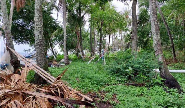 PASTI CLOSING DI JUAL TANAH LOSS PANTAI VIEW LAUT LOKASI TEJAKULA BULELENG
 1