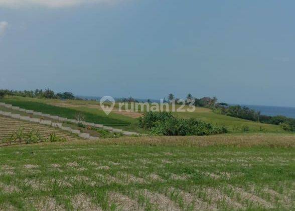 SURE DEAL FOR SALE LAND WITH SEA VIEW & RICE FIELDS LOCATION, KLECUNG SELEMADEG, EAST TABANAN 1