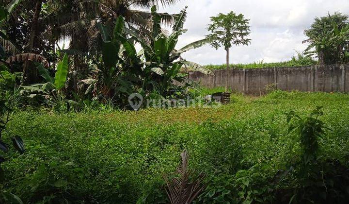 SUSUSUSUPER DEAL DI JUAL TANAH LOSS SUNGAI VIEW SAWAH LOKASI KENGETAN UBUD GIANYAR   1