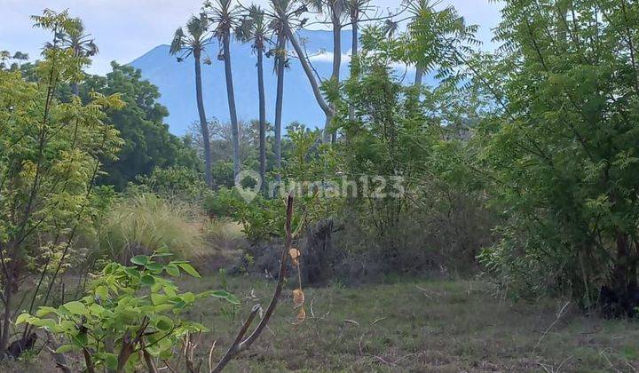 SURE DEAL FOR SALE LAND WITH SEA VIEW IN KUBU KARANGASEM LOCATION 2