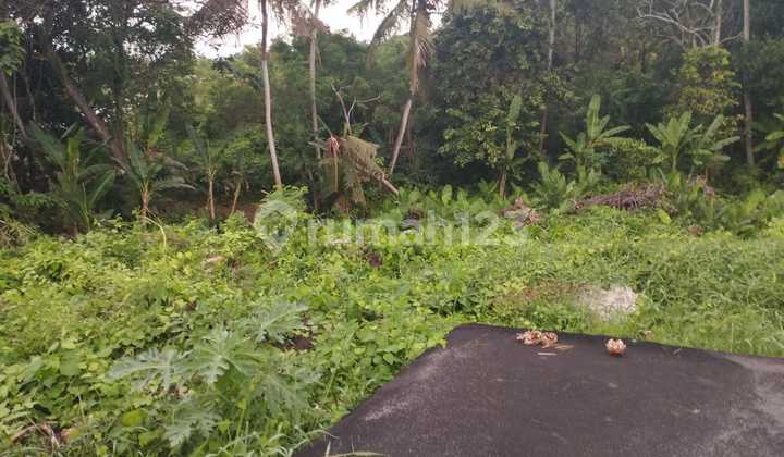 Pasti Closing Di Jual Tanah Lokasi Kedungu Belalang Tabanan