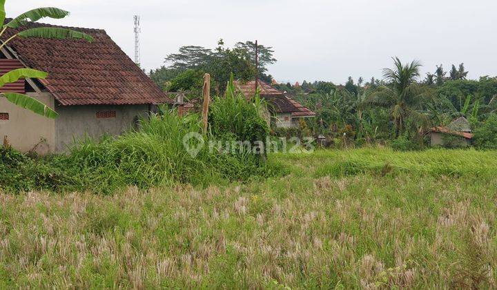 SUSUSUSUPER DEAL DI JUAL TANAH PINGGIR JALAN LOKASI KEMENUH UBUD GIANYAR   2