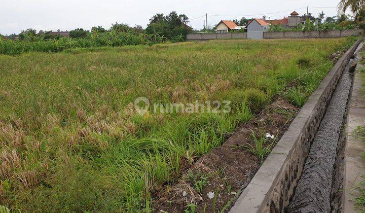 SUSUSUSUPER DEAL DI JUAL TANAH PINGGIR JALAN LOKASI KEMENUH UBUD GIANYAR   1