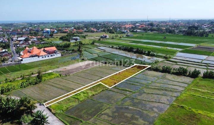 SOSO SO PASTI DI JUAL TANAH VIEW SAWAH LOKASI NYANYI BERABAN KEDIRI TABANAN 1