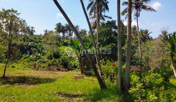 SURE DEAL IN LAND FOR SALE LOCATION SUMAMPAN SUKAWATI GIANYAR 2